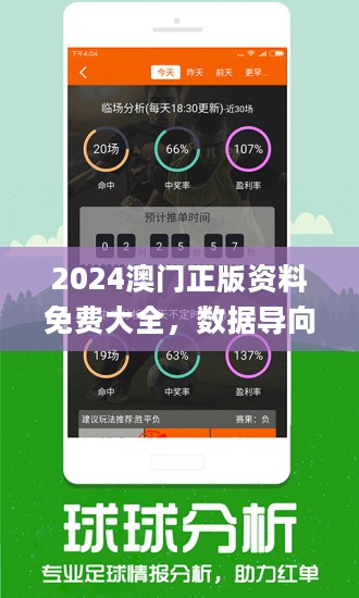 2024新澳门原料免费462|精选解释解析落实_特别设计版B910