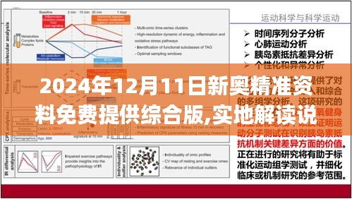 2024新奥资料免费精准051|精选解释解析落实_尊享定制版S912