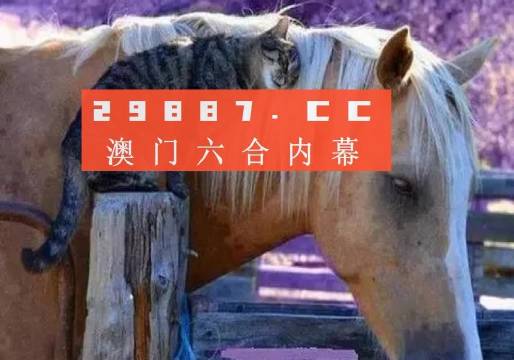 澳门一肖一码一必中一肖|精选解释解析落实_个人定制版X435