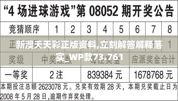 2024天天彩正版免费资料|精选解释解析落实_专业手工定制版P301