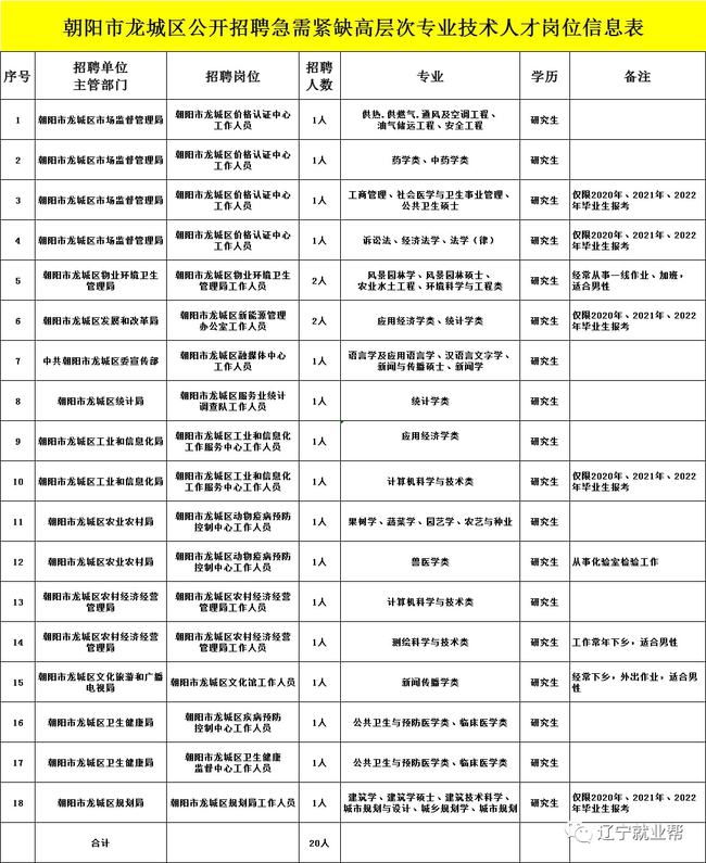 朝阳市人才网最新招聘动态深度解析