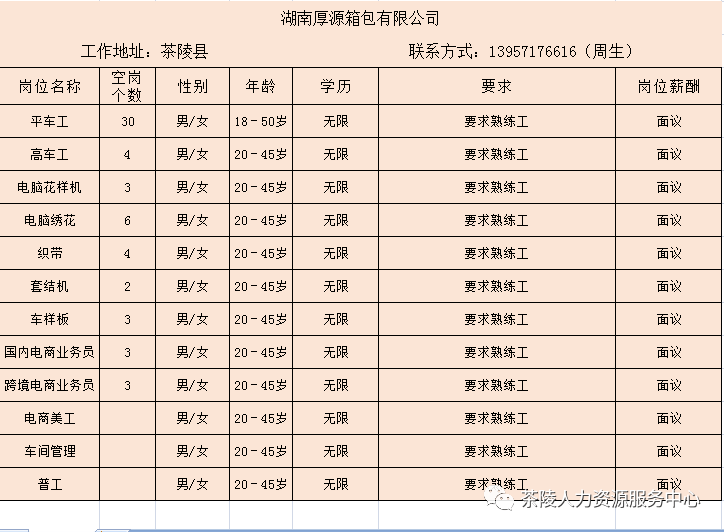 茶陵招工最新招聘信息概览