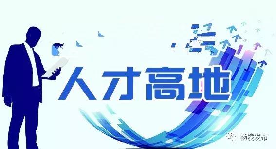 禅城区人才网招聘——探寻人才与机遇的交汇点