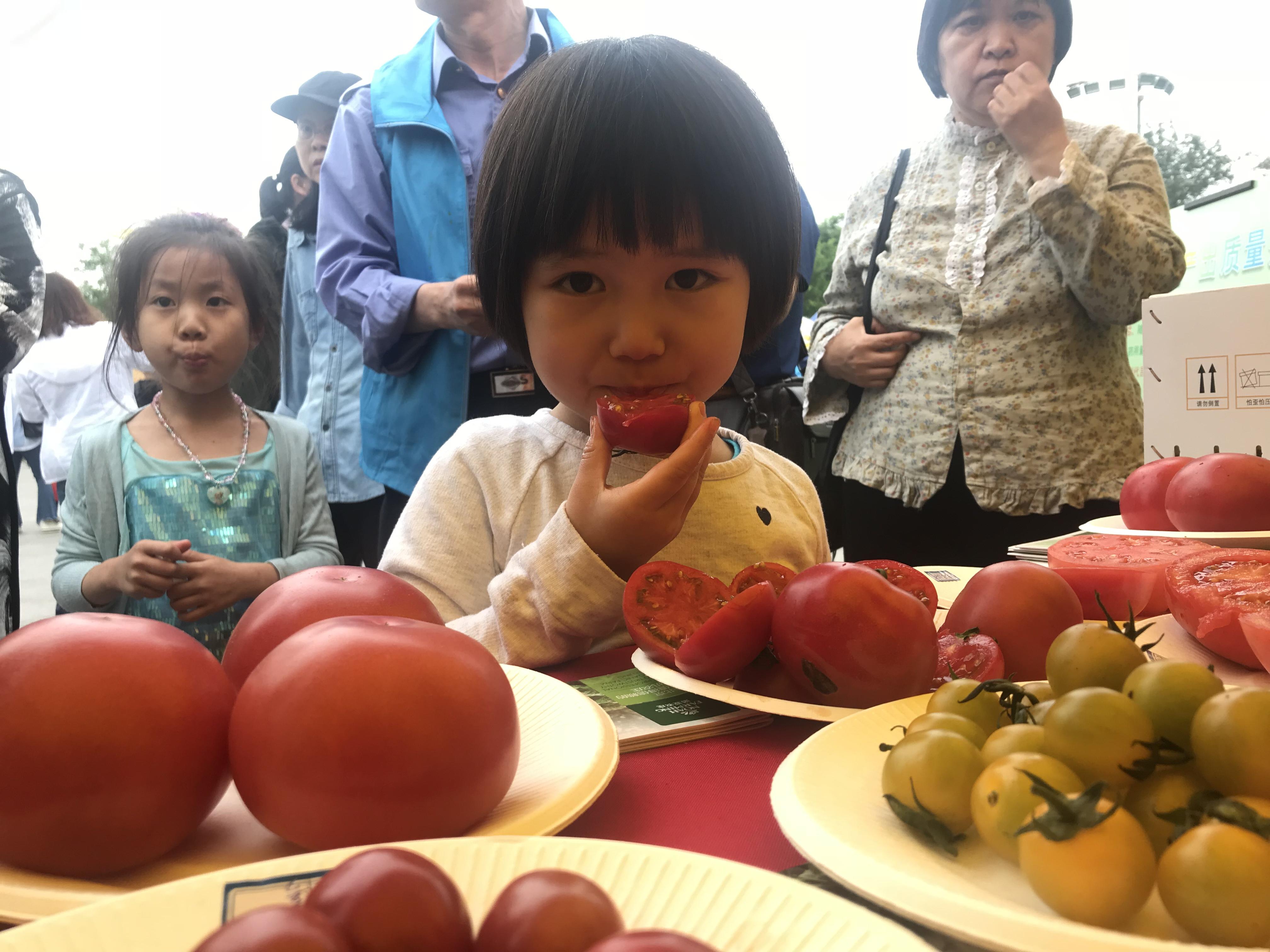 朝阳人才市场美食招聘，探寻味蕾盛宴与职业发展的双重机遇