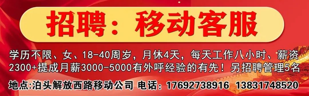 沧人才网最新招聘动态及其影响