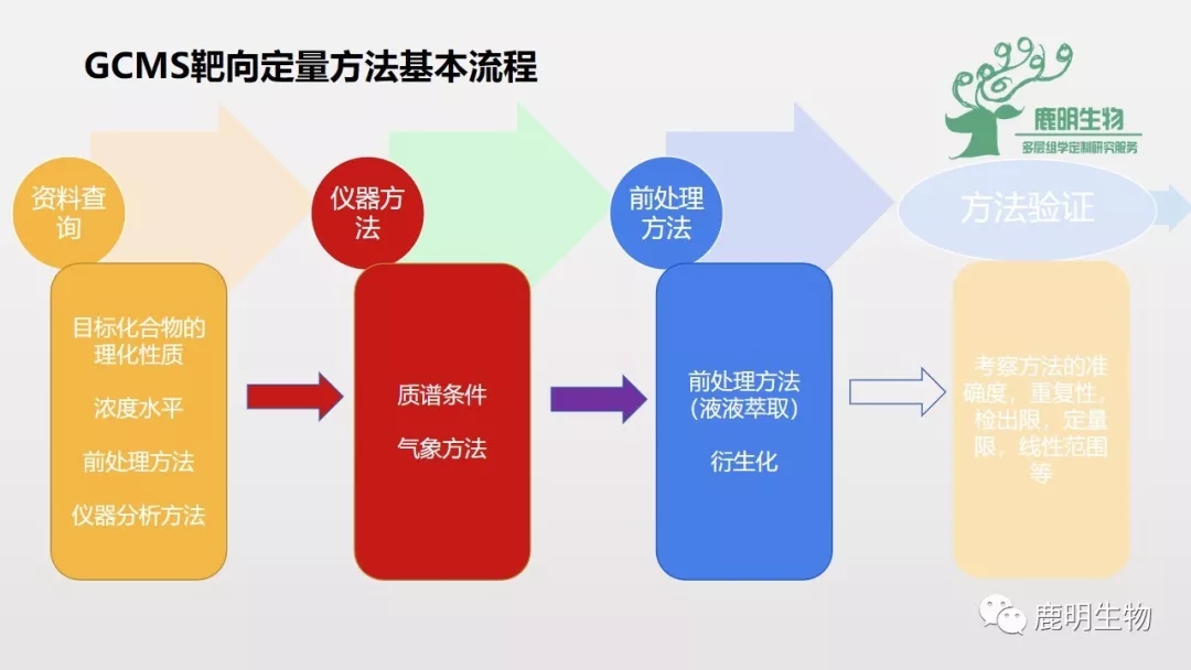 2025年1月10日 第11页