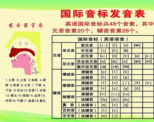 昌乐英语音标培训班电话——开启英语发音之旅的大门