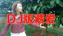 藏爱何鹏DJMP3下载，音乐之魅，深情藏于其中