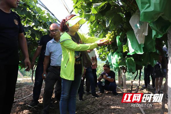 常德澧县人才网最新招聘动态及其影响