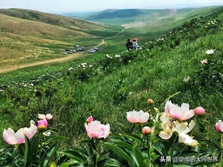 草原情怀与草原500首经典老歌的音乐之旅