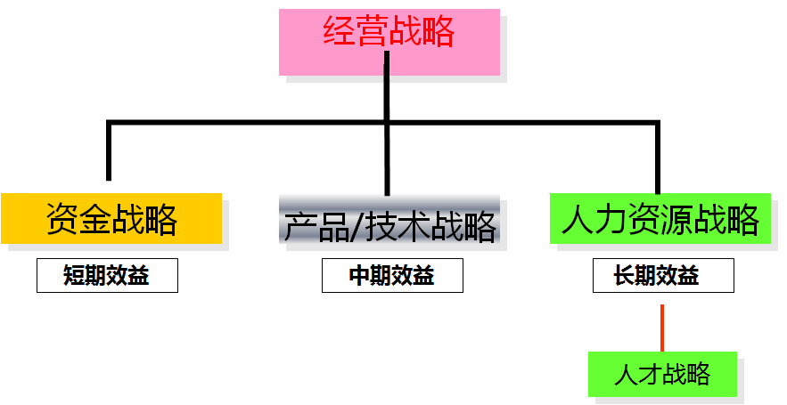 层次人才招聘信息，构建高效人才招聘体系的深度解析