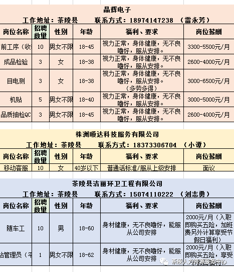 茶陵人才招聘信息概览