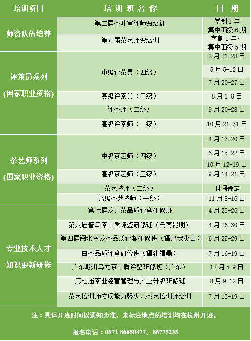 茶叶人才招聘网——连接茶叶产业与人才的桥梁