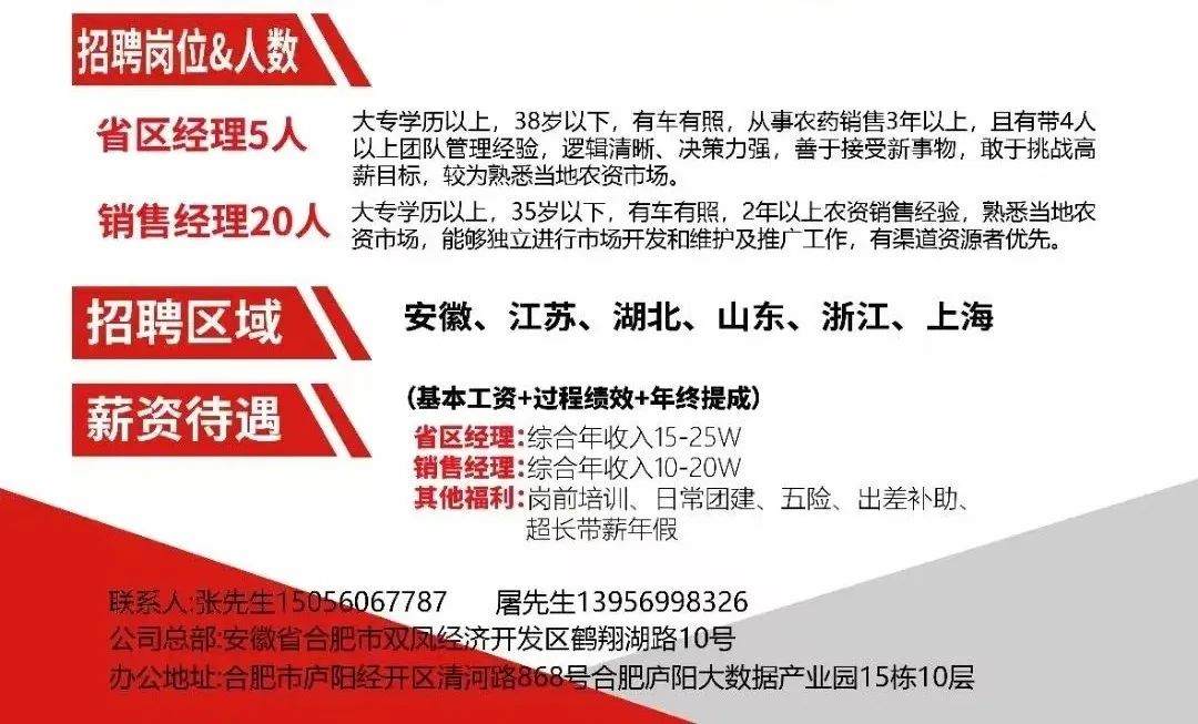 巢湖市招聘网最新招聘动态深度解析