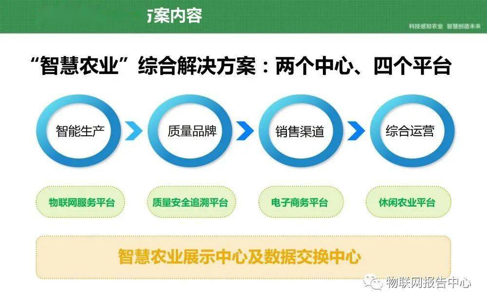 茶城人才网——连接人才与产业的桥梁