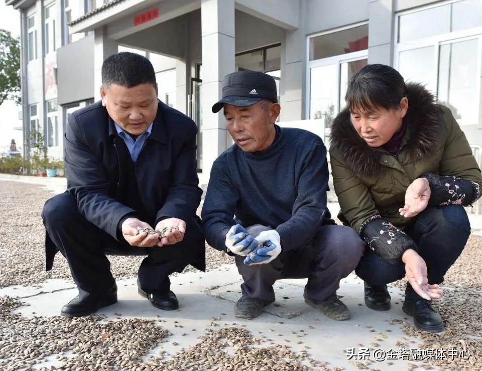 巢湖厨师人才招聘信息，探寻烹饪艺术的卓越人才