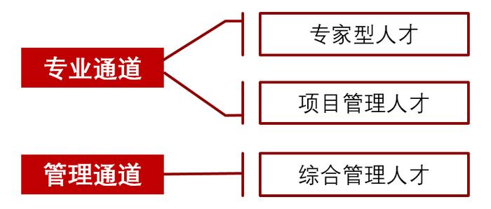 常州金沙人才招聘信息概览，职业发展的理想选择地